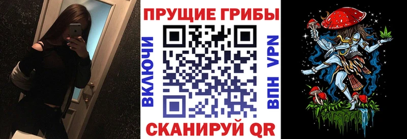 купить   Карабаново  Галлюциногенные грибы GOLDEN TEACHER 